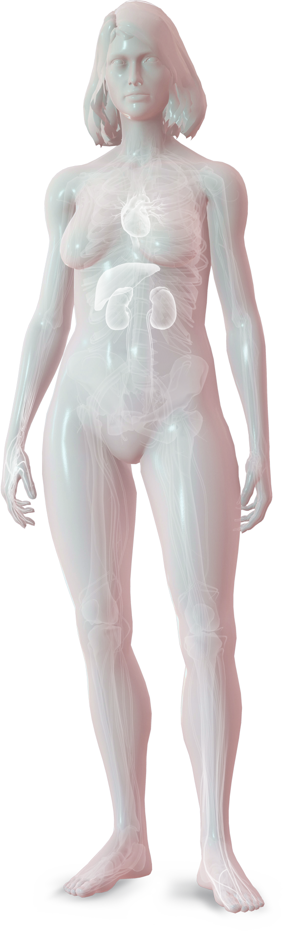 Condition Body Map