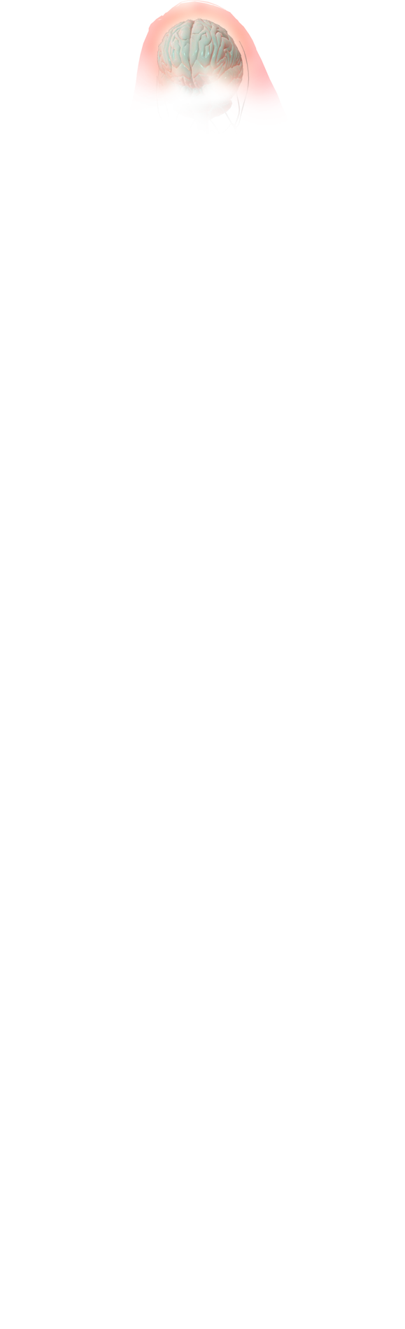 Brain